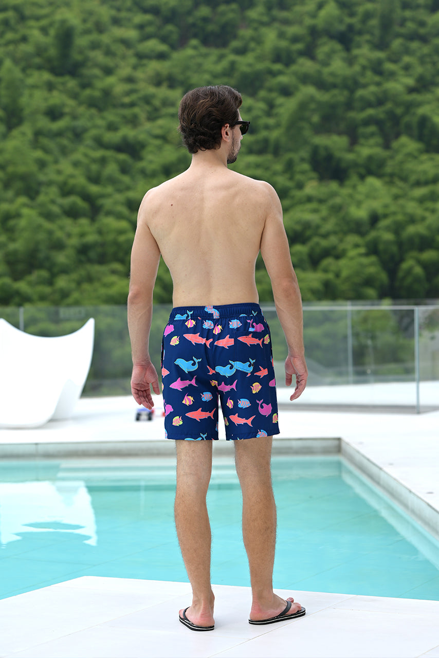 Island Haze 6“ Stretch Volley Shorts - Alor