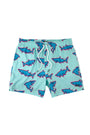 Island Haze Compression Swim Shorts - Andros