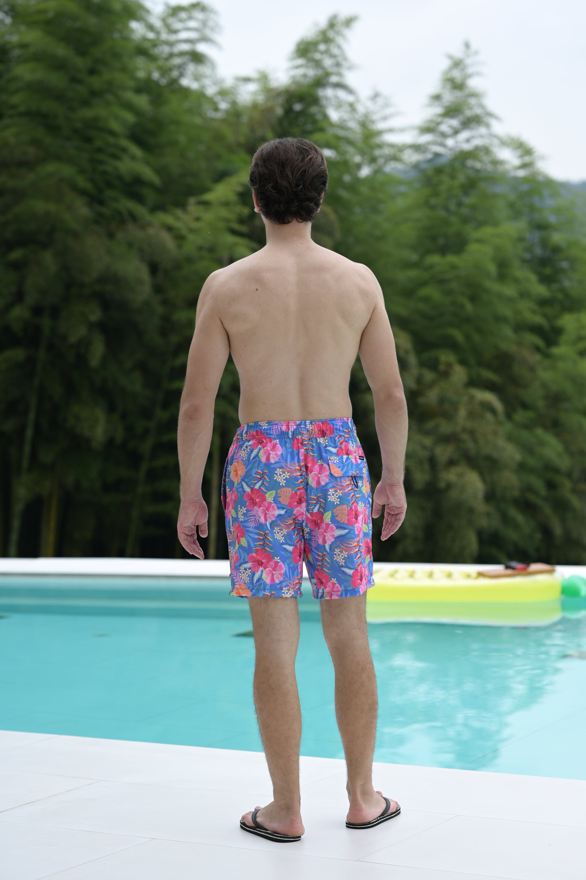 Island Haze 6“ Stretch Volley Shorts - Terre